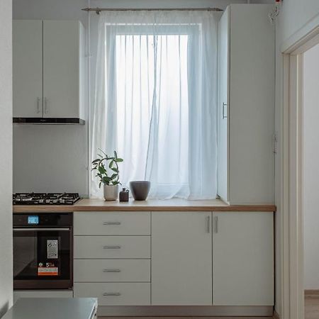 Solomon Apartments Ap 3 Sîngeorgiu de Mureş 외부 사진