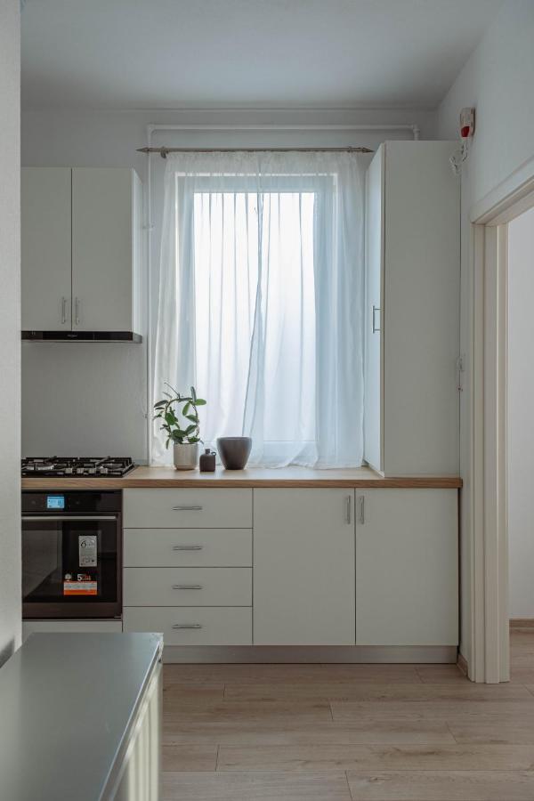 Solomon Apartments Ap 3 Sîngeorgiu de Mureş 외부 사진