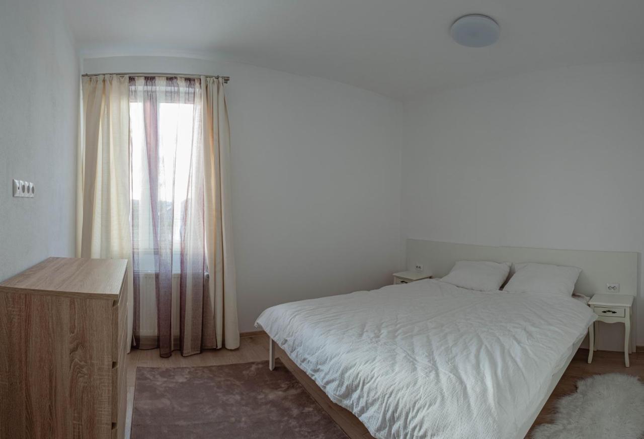 Solomon Apartments Ap 3 Sîngeorgiu de Mureş 외부 사진